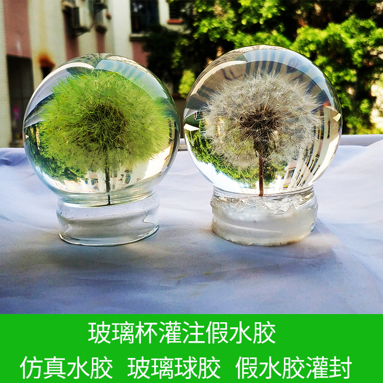 1:1假水膠的介紹 能不能灌封進玻璃制品做蒲公英標本